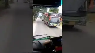 Ketemu Pemain Kelender Nopin 377 #brotherjalanan #youtube #vidioshort #bus #busals