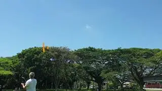 line control glider. ( pan ying fei ji )