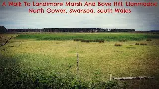 A Walk To Landimore Marsh and Bove Hill, Llanmadoc, North Gower, Swansea