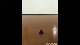 stop motion animation