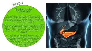 FUNCTIONS OF GALLBLADDER IN CHINESE MEDICINE