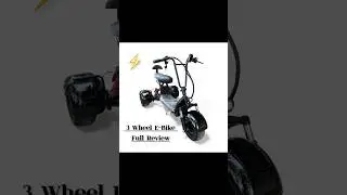 3 Wheel Electric Scooter Full Review | citycoco electric scooter