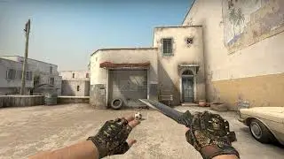 CS:GO BLOODHOUND GLOVES SNAKEBITE BATTLE-SCARRED | SKIN SHOWCASE