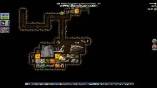 Diggy's Adventure Dinosaur Challenge 2
