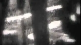 ww2 guncam, Fw190 fighter planes attack Allied supply lines