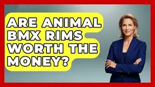 Are Animal BMX Rims Worth The Money? - Action Sports Arena