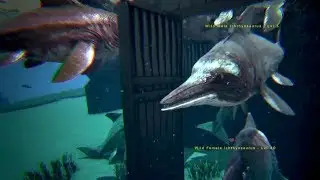 Episode 89: Dolphin Party! - Ark: Ragnarok Survival Guide