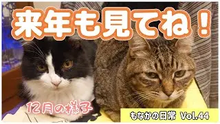 【もなかの日常】Vol.44 来年もどうぞよろしくお願いいたします！