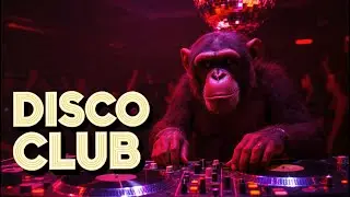 High Energy Disco Club 🪩 Vintage 70s Night Groove