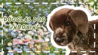 🌱🐾 Unbox Wolfgang the German Pointer With Me! | ESSA dog 🦴