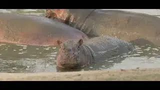 Nava Raipur &ndash; Cities Within a City: Tourism City | Experience Chhattisgarh&rsquo;s New Destination