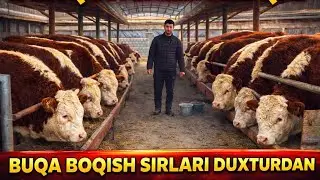 BUQA BOQISH SIRLARI VA BILIMLARI👍👍👍30 января 2026 г.