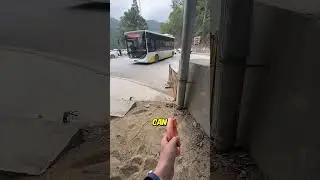 Самая легкая работа в мире? 🤯 #шорты
