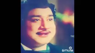 பார்த்த ஞாபகம் இல்லையோ - MSV magic