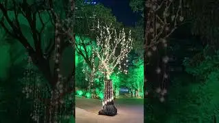 Chandrayan Theme Event #companyevent #dj #eventorganization #event #music #festival #sound