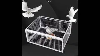 Auto Trap Bird Cage Rabbit Cage Mouse Cage Entry Only No Exit Thickened Encrypted Automatic Pigeon