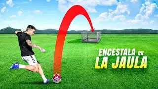 Reto de Precisión Con una Jaula