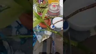 #shorts #diy#Lucky Bamboo #homedecoration #ideas #design #amazing #new#aarong