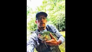 GIANT RAINBOW TROUT!!!  STATE RECORD?