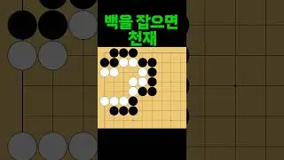 바둑 묘수 사활 - 기똥차게 천재적인 묘수를 찾아보세요. #바둑 #사활 #바둑강좌