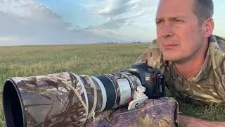 WILDLIFE PHOTOGRAPHY | Photographing Badgers