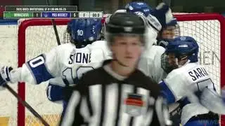 2025 Brick Invitational - Semi-Final - Toronto Pro Hockey vs. Team Minnesota