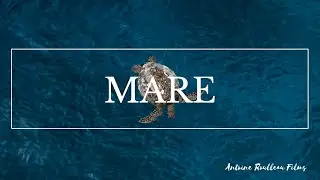 Maré - Nouvelle Calédonie // Antoine Roulleau