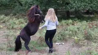 Wahnerheide Shooting mit Lucy und Celina
