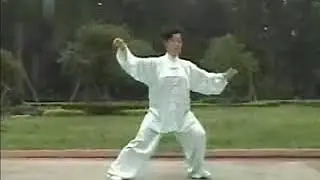 KOU-楊式太極拳85式(李卓婭)