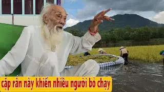 Thầy Rắn Ông Tư Đền Kể Chuyện Rết Khổng Lồ Và Cặp Rắn Hổ Mây Khủng Tại Núi Bà Đội 