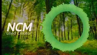Birthday by LiQWYD | No Copyright Music ( Release NCM )