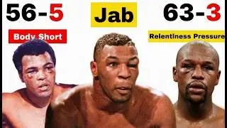 How to BEAT Every Boxer (The Blueprint)