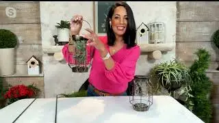 Garden Reflections S/2 Multifunctional Solar Lanterns with Hooks on QVC