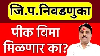 पिक विमा खरीप 2025 | जिल्हा परिषद निवडणूक जाहीर – पिक विमा मिळणार का?