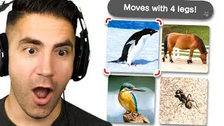 CLICK TO SEE IF YOU HAVE A BIG BRAIN - Big Brain Academy  Part 1 | Switch | Pungence