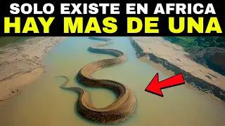 Lleve A Mi DRONE A Una ZONA PROHIBIDA Del Congo y Esto Fue Lo Que CAPTO