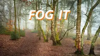 LANDSCAPE Photography | Foggy Photography   A Blend Of Mystery And Beauty
