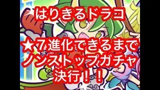 【ぷよクエ】はりきるドラコ★７解放！進化できるまでガチャを回し続ける【300連ガチャ】