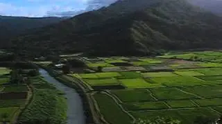 Hanalei Valley Lookout