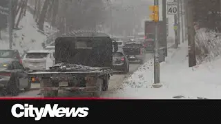 Persistent snowfall blankets Toronto as drivers warned of poor visibility