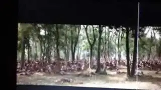 Alexander the Great Battle of Hydaspes River