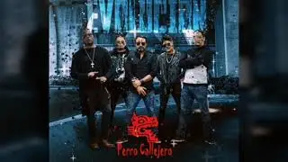 Perro Callejero _ Hada De Papel