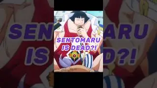 The Uncertain Fate of Sentomaru &ndash; What Really Happened?#onepieceedit #onepieceanime #onepiece #anime