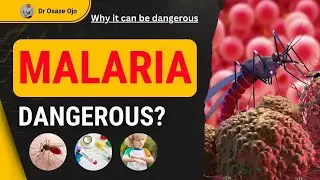 Malaria: Why it can be dangerous | Malaria's Hidden Threat