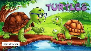 Turtle Adventures: Fun Stories and Facts for Kids! #Turtles #FunFacts #KidsLearning #NatureForKids