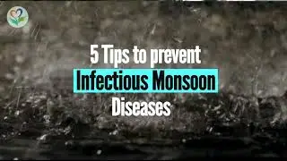 Infectious Diseases: 5 Tips to Prevent Infectious Monsoon Diseases