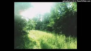 free! yhapojj dj august pittkiid 1o type beat - meadow (kira)