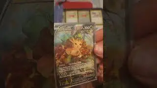One Binder One Hit Part 5