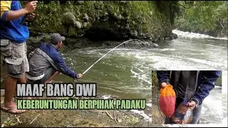 IKAN NILEM SUNGAI SERAYU MULAI MAKAN LUMUT | Nutul Melem Arus Deras