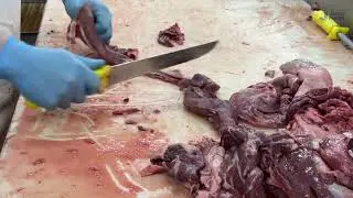 В ЗКО наладили производство консервов из мяса сайги